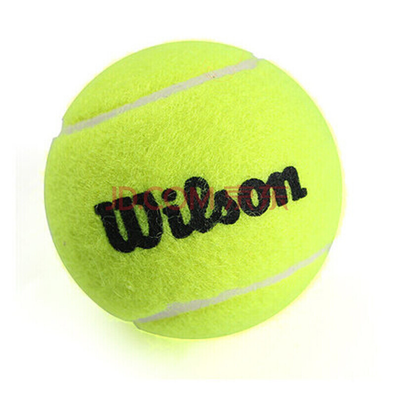 运动在该地 运动在该地