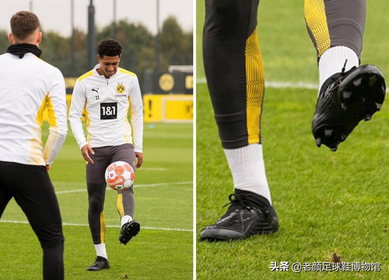 赛结果带来 赛结果带来